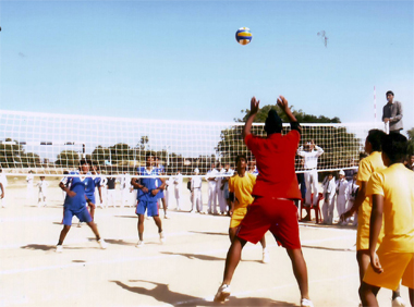 Volleyball_Competition_2011